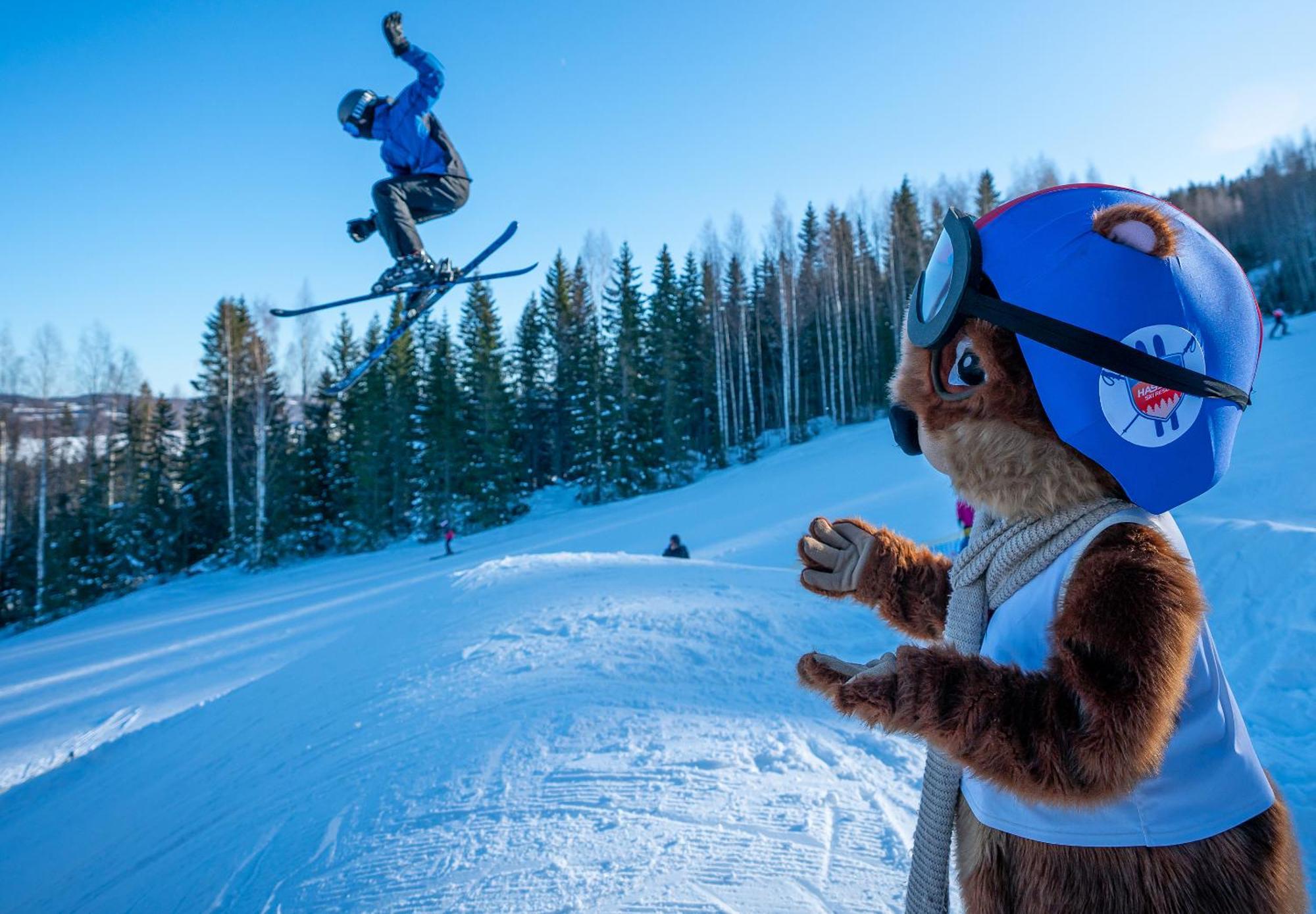 Hassela Ski Resort Luaran gambar