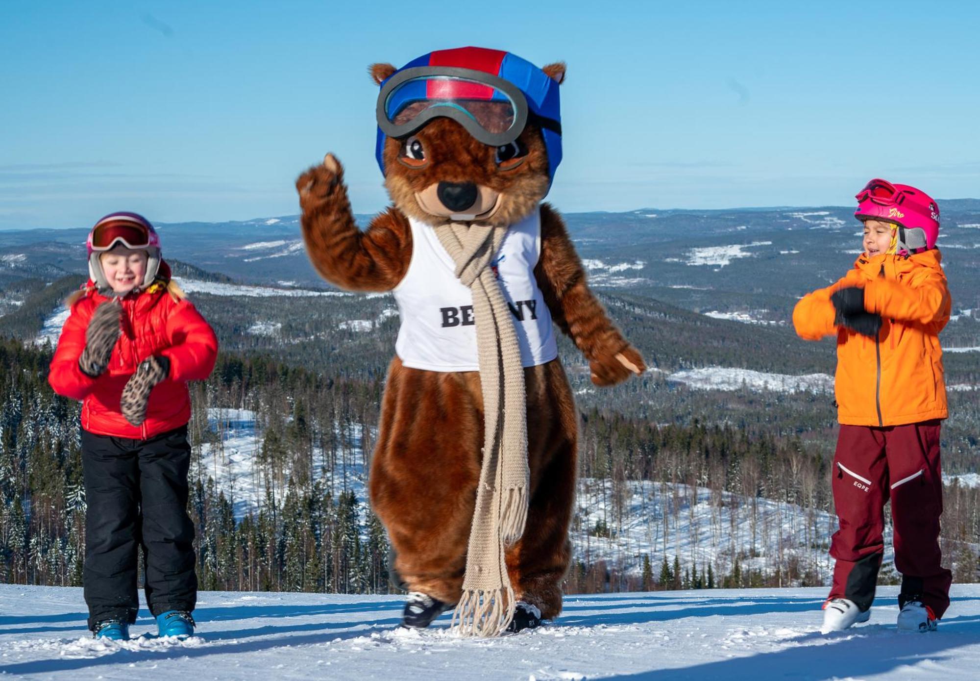 Hassela Ski Resort Luaran gambar